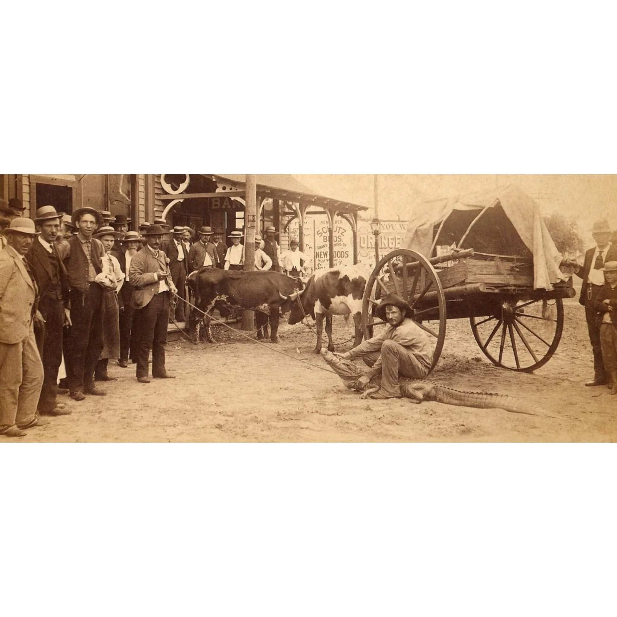The original 1880s photograph — Bunk Baxter atop an alligator on Orange Avenue, Orlando, crowd looking on
