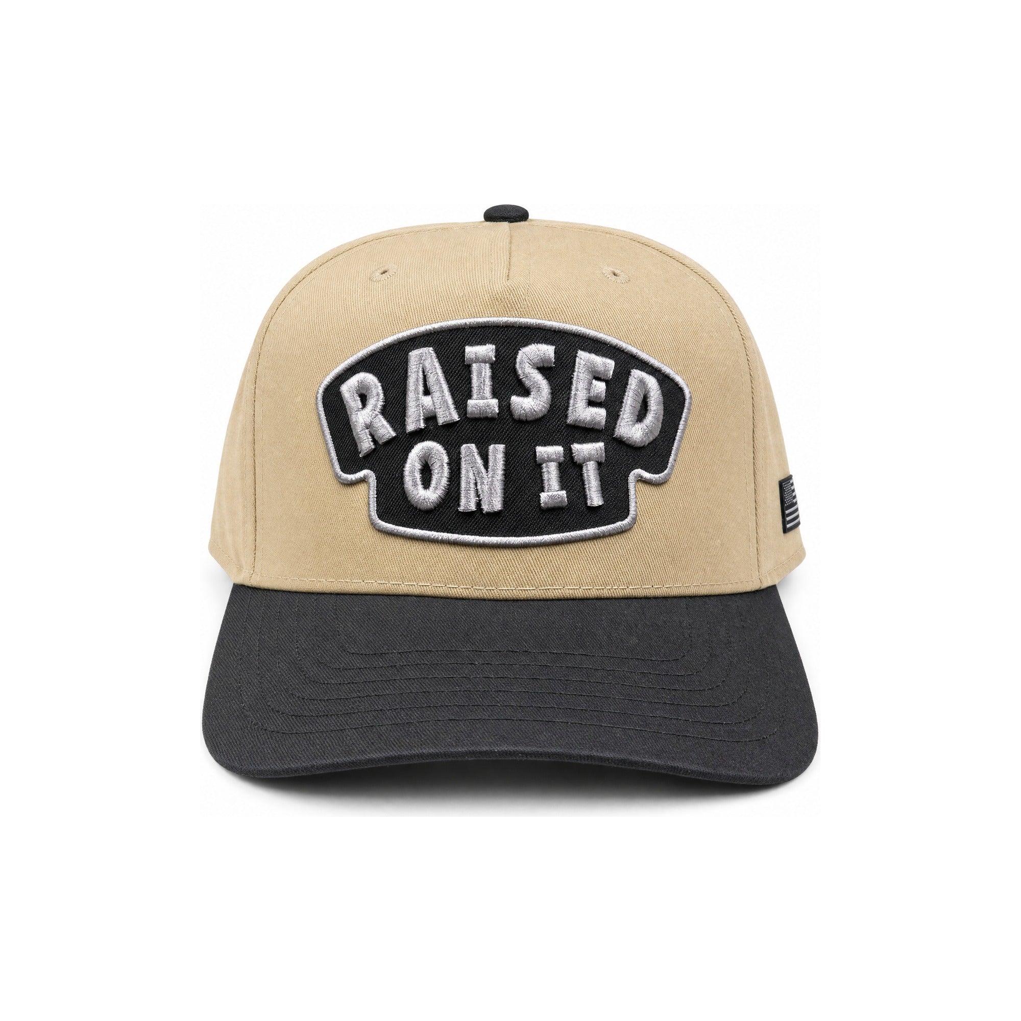 Raised On It | America 250 | Embroidered Logo Hat