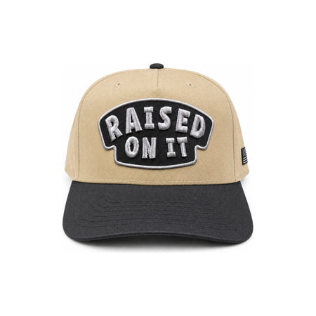 Raised On It | America 250 | Embroidered Logo Hat